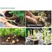 4 In 1 pH Moisture Soil Meter LCD Temperature Sunlight for Garden Farm Greenhouse Soil Fertility Tester